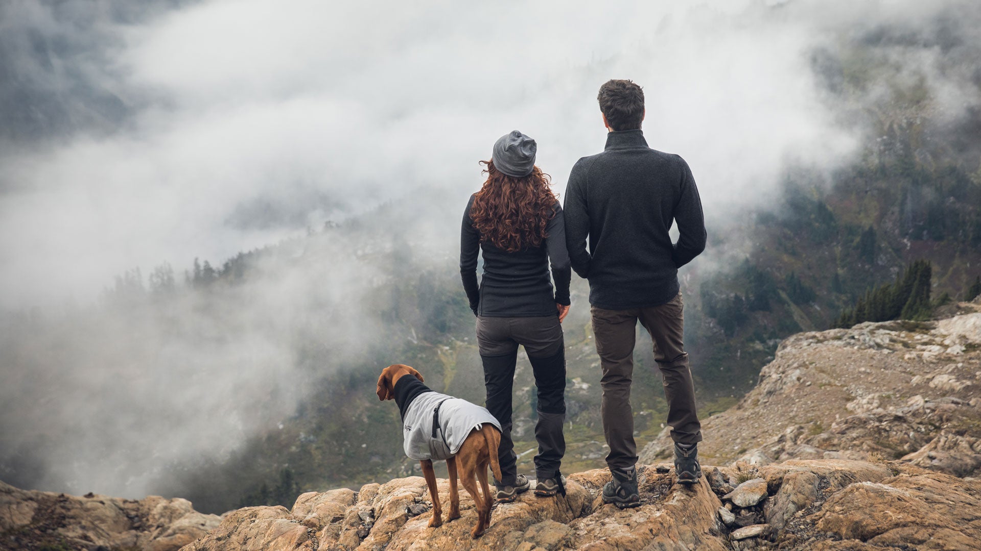 Two people and a dog stand on a rocky cliff, facing away from the camera and looking out over a misty, mountainous landscape. The dog wears a jacket, and clouds partially obscure the view of the distant terrain.