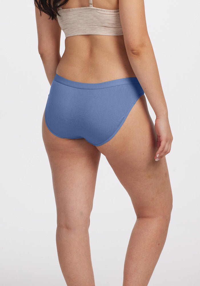 Womens Merino Wool Bikini Underwear The Woolx Roxie Free Shipping