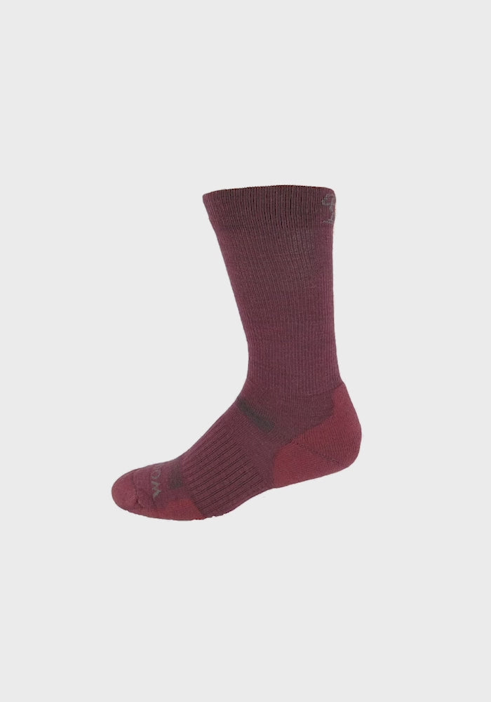 Harbor Crew Sock Light Cushion - Windsor Wine